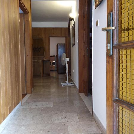 Honey Bee Cavtat Apartman Kültér fotó