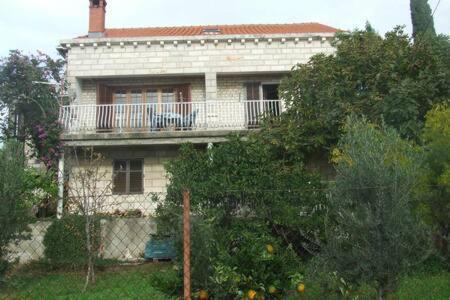 Honey Bee Cavtat Apartman Kültér fotó