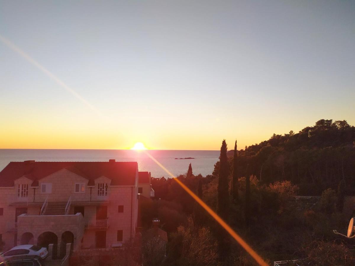 Honey Bee Cavtat Apartman Kültér fotó
