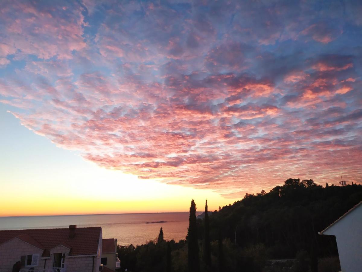 Honey Bee Cavtat Apartman Kültér fotó